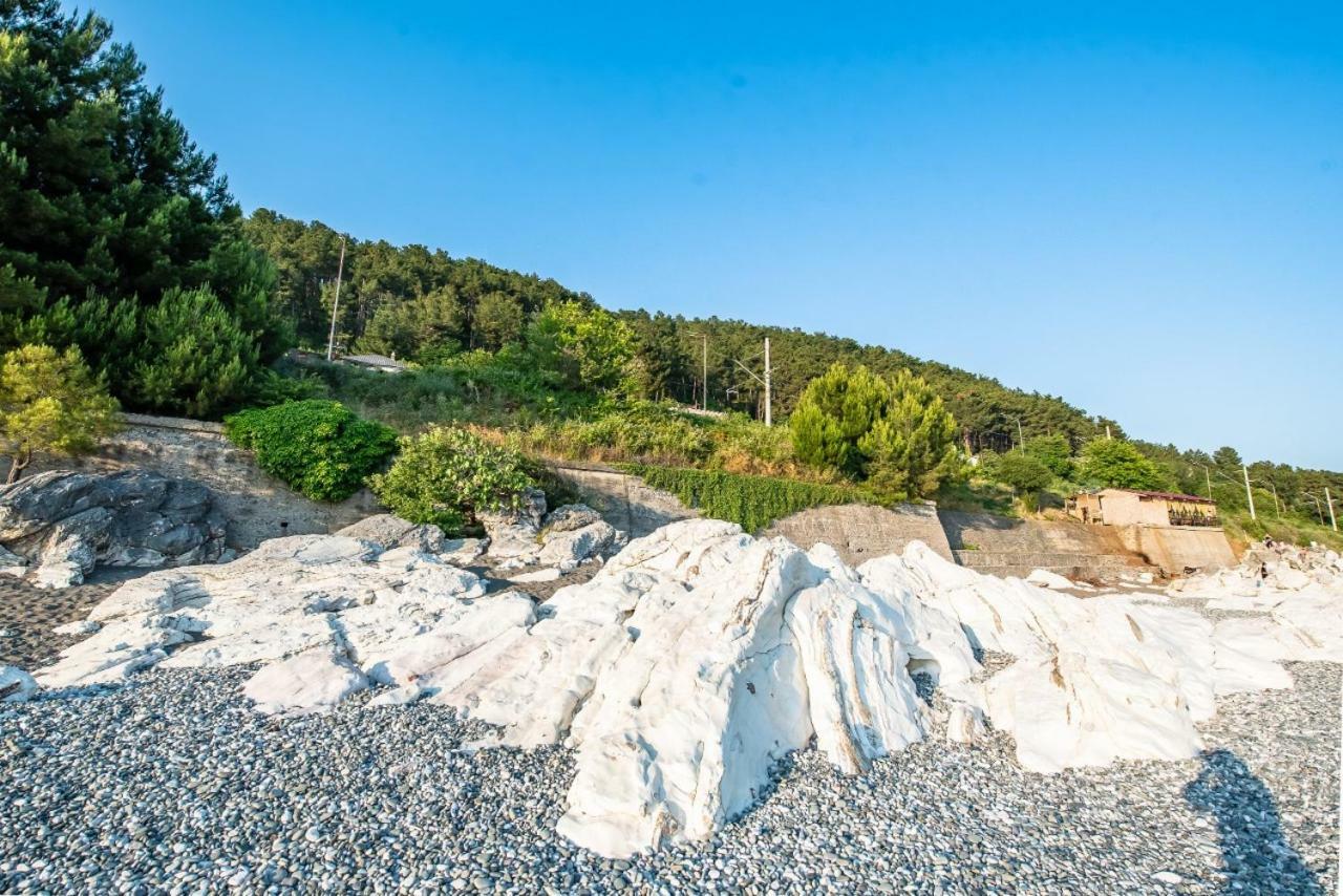 Park-hotel Abkhazia Gantiadi Kültér fotó